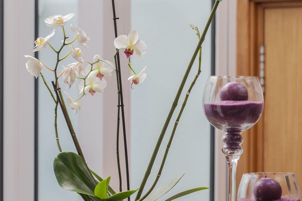 Costa Nova Hotel Ngoại thất bức ảnh